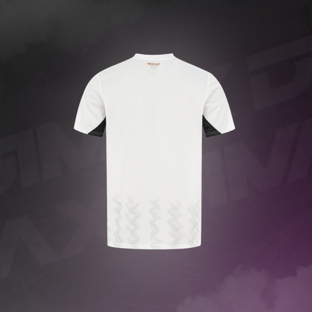 Maillot Exterieur Bayer Leverkusen 2024-2025